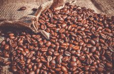 Coffee Producers In Karnataka