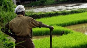 Kisan Credit Card Scheme