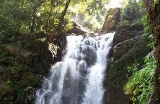 Hanuman Gundi Falls