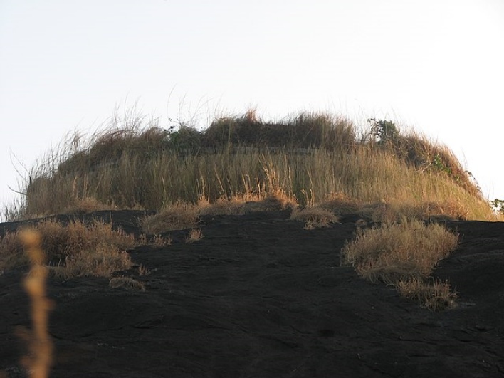 Gadaikallu