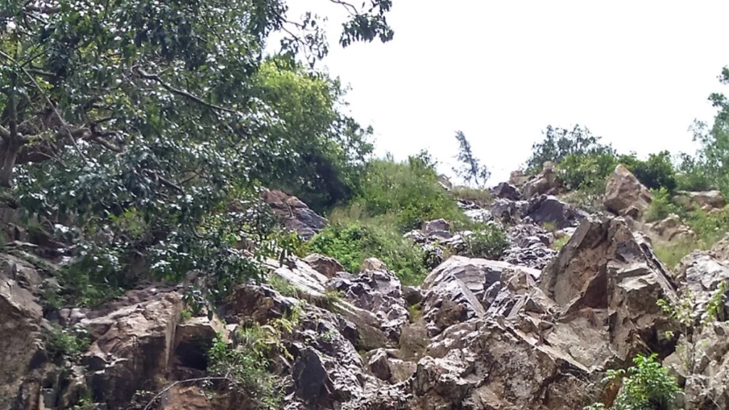 Muthyalamaduvu