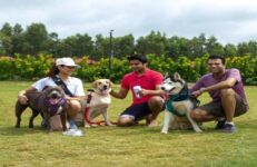 Vaman Retreats. Source Vaman Retreats