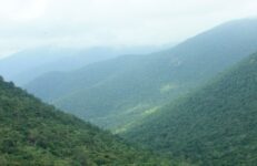 MM Hills Forest. Source Tumkurameen