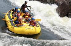 Dandeli Forest Hill Station, Kalakrruti. Source Kalakrruti