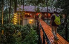 Citrus Trail, Bangalore. Source Instagram