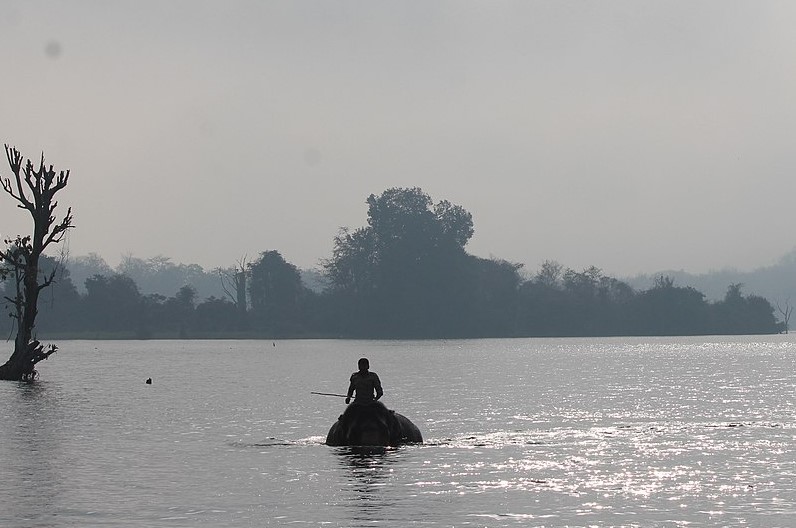 Sakrebyle Elephant Camp. Source Hareesh KS