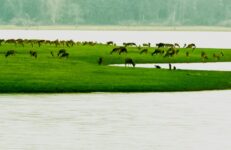 Best Places To Visit In Summer In Karnataka, Kabini. Source Karnataka Tourism