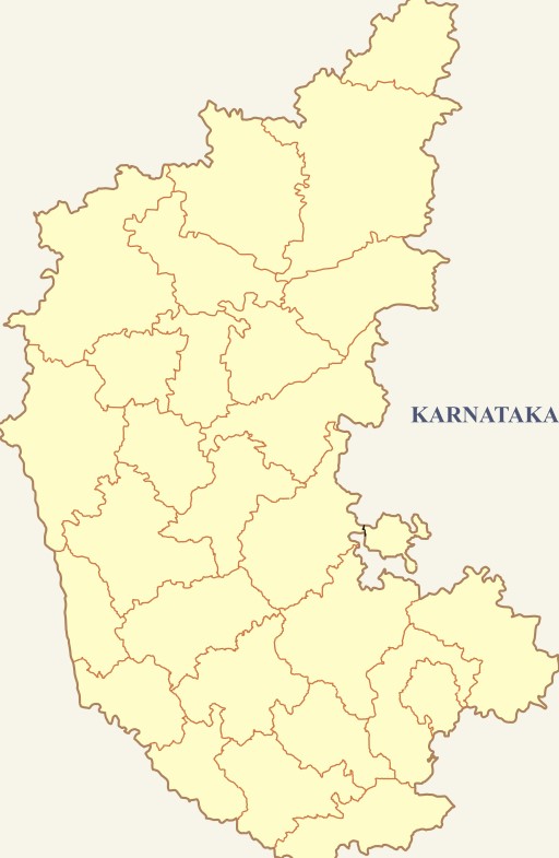 Exit Poll For Lok Sabha Elections 2024, Karnataka. Source Manjunath S. Meharwade