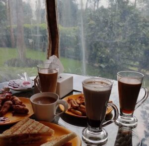 The Estate Cafe, Unexplored places near Chikmagalur. Source The Estate Cafe, Instagram