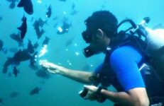 Scuba Diving In Karnataka. Source Netrani Adventures