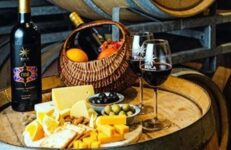 Wine Tasting, Date Ideas In Bangalore. Source Domaine Sula