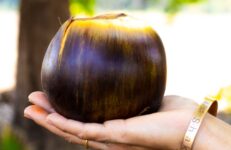 Ice Apples in Bangalore. Source VD Photography, Unsplash