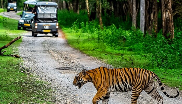 Jungle Safari Near Bangalore. Source Karnataka Tourism.