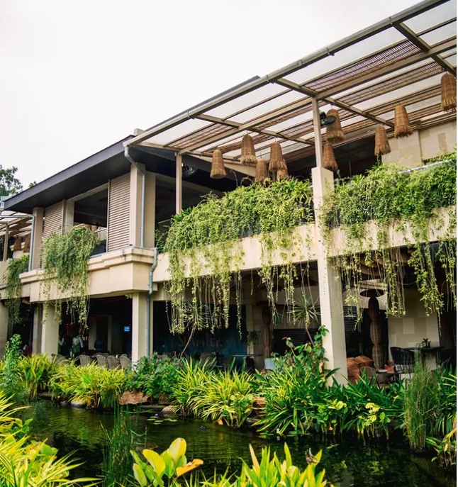 Nusa Brew Villa, Bangalore. Source Nusa Brew Villa, Instagram