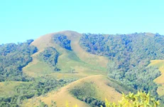 Mullayanagiri, Chikmagalur Mullayanagiri in Chikmagalur. Image courtesy RakeshRaju M