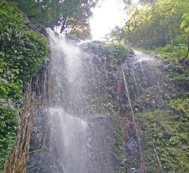 Kodachadri Trek, Karnataka. Source Azam148, Wikimedia Commons