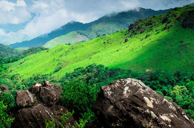 Tadiandamol Trek. Source Jyotirmoy, Wikimedia Commons
