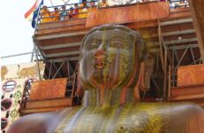 Shravanabelagola Mahamastakabhisheka. Source Matthew Logelin
