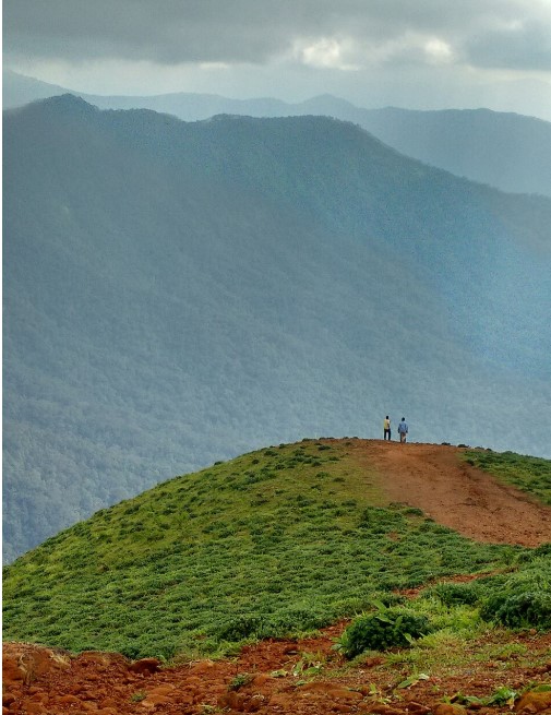 Trekking Places in Coorg, Mandalpatti. Source Ansuman1994