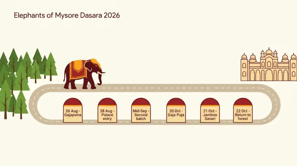 Timeline infographic of the elephants of Mysore Dasara 2026, from Gajapayana on 26 August to the return on 22 October
